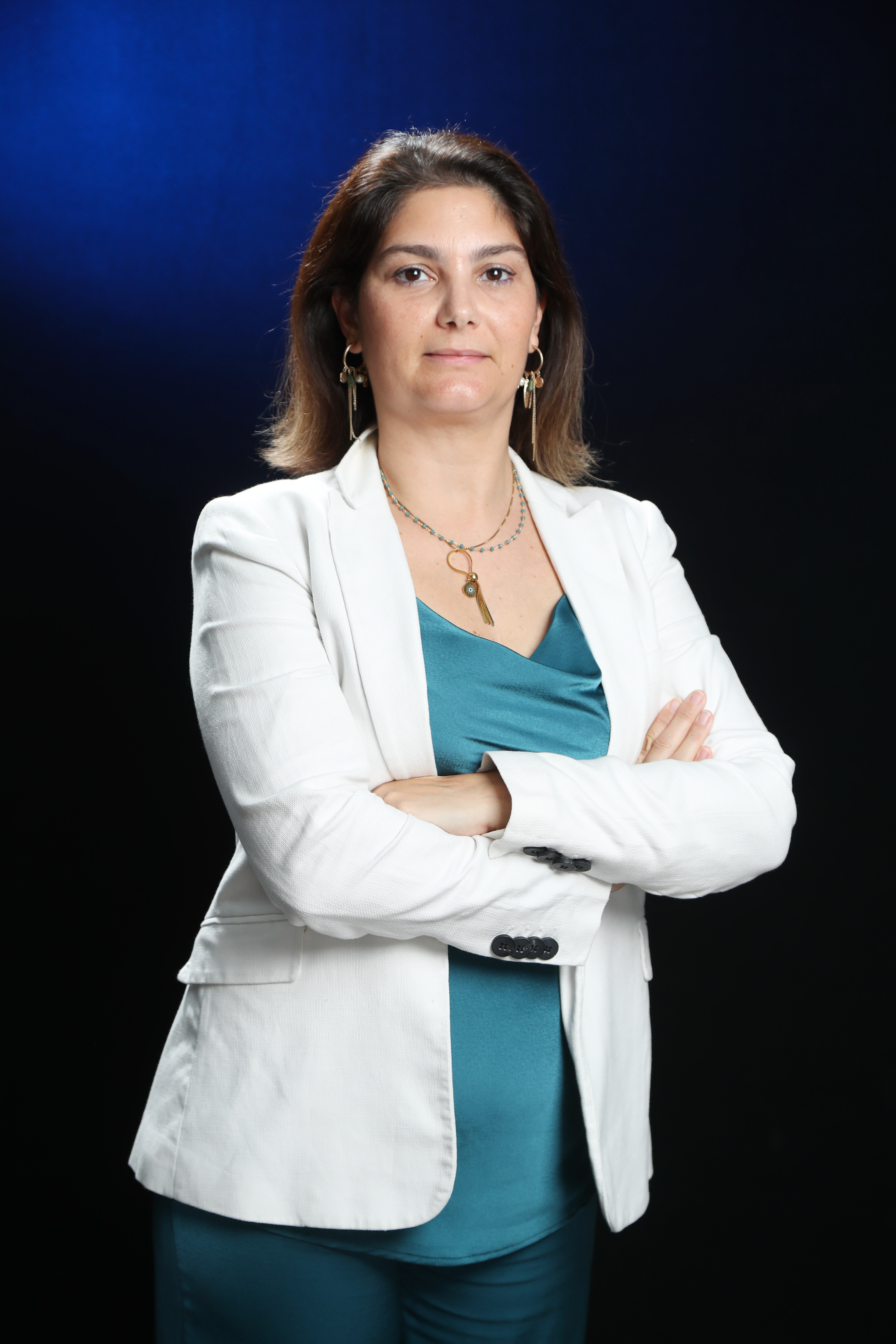 Inês Silva, Consultora de Informática